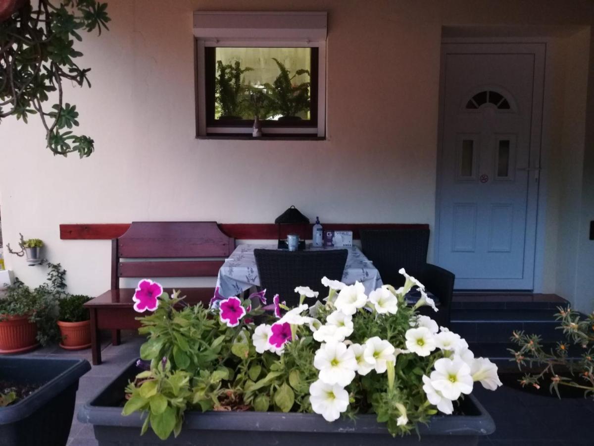 Apartman Rosa Lägenhet Skradin Exteriör bild